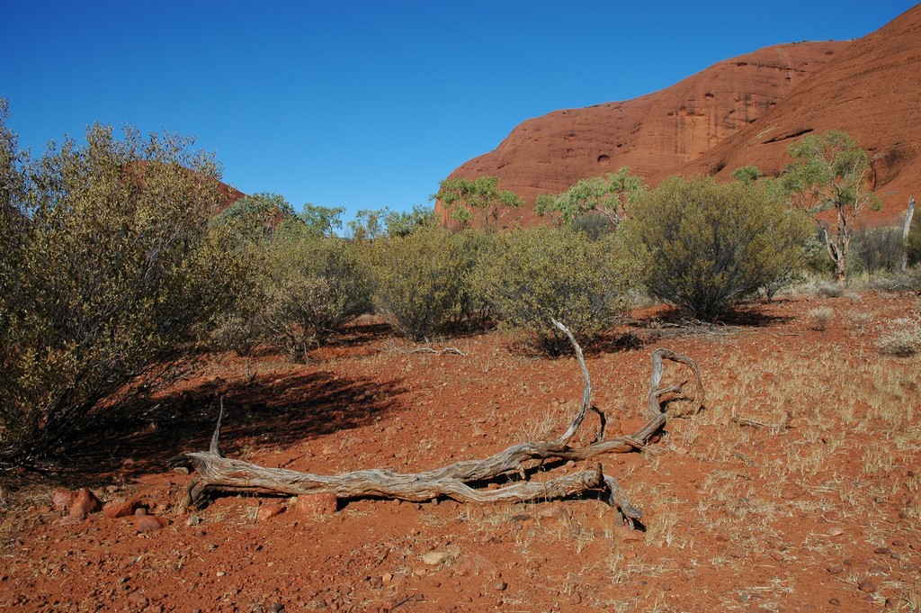 Kata Tjuta